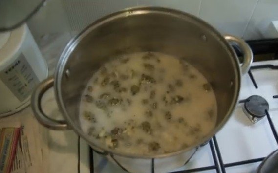 Варенье из сосновых шишек. Рецепты приготовления варенья из шишек сосны