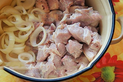 Шашлык из свинины с уксусом и луком — 6 советских рецептов