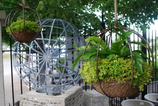 Горшки садовые - моды зеленый дизайн