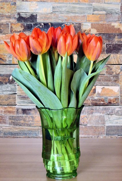 Тюльпаны – в Женский День и не только. Что делать, чтобы они были прочными [ФОТО]
