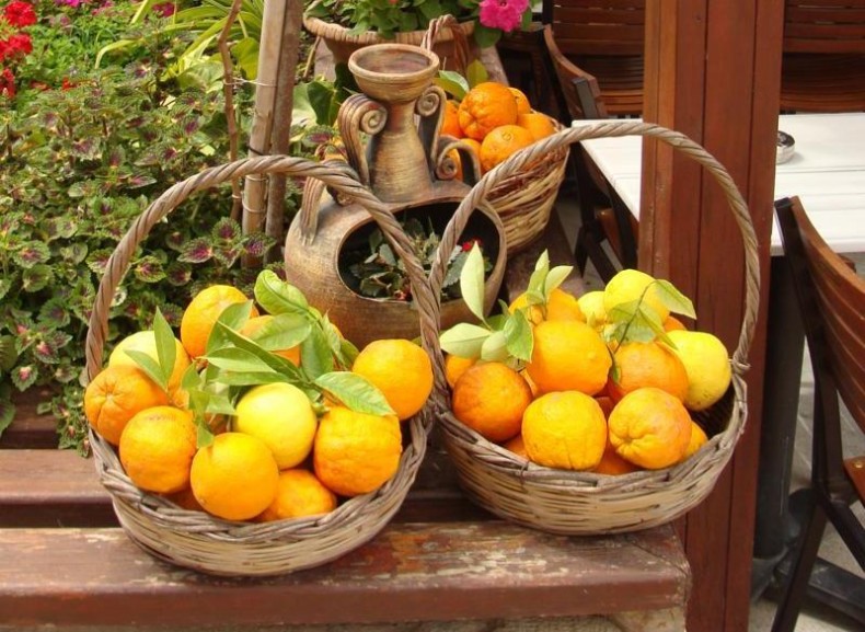 Апельсин, мандарин, грейпфрут, лайм, лимон  выращенный в домашних условиях на подоконнике