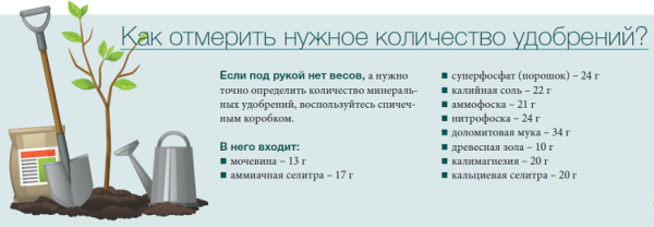 Как и чем удобрять плодовый сад: Сроки и правила подкормки 8 Признаки нехватки кальция на молодых побегах