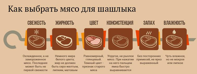 Шашлык из свинины с уксусом и луком — 6 советских рецептов