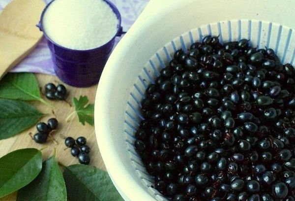 Варенье из черной смородины на зиму: 8 простых рецептов желеобразного варенья