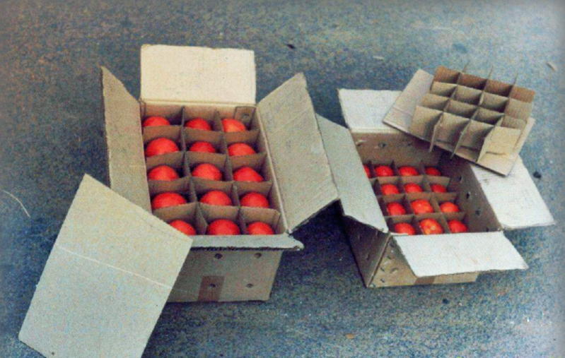 Как сохранить томаты свежими