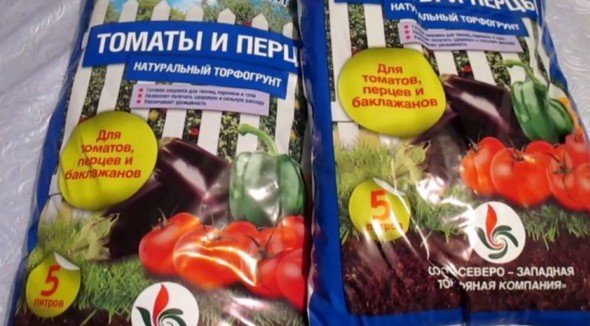 Посадка помидор на рассаду: когда и как сеять (сажать) томаты на рассаду в 2018 году?