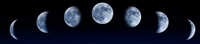 Посадка баклажанов по Лунному календарю: когда сажать (сеять) баклажаны на рассаду в 2018 году?