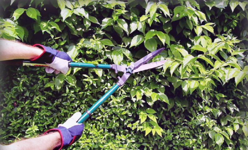 Садовые инструменты для обрезки деревьев